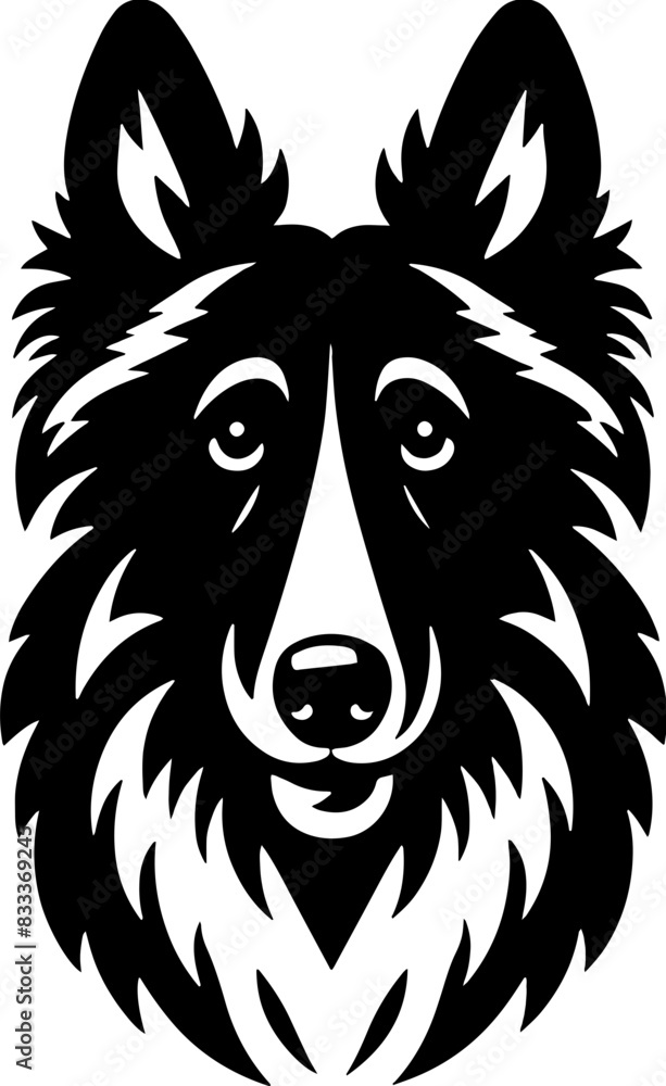 Fototapeta premium Belgian Shepherd12
