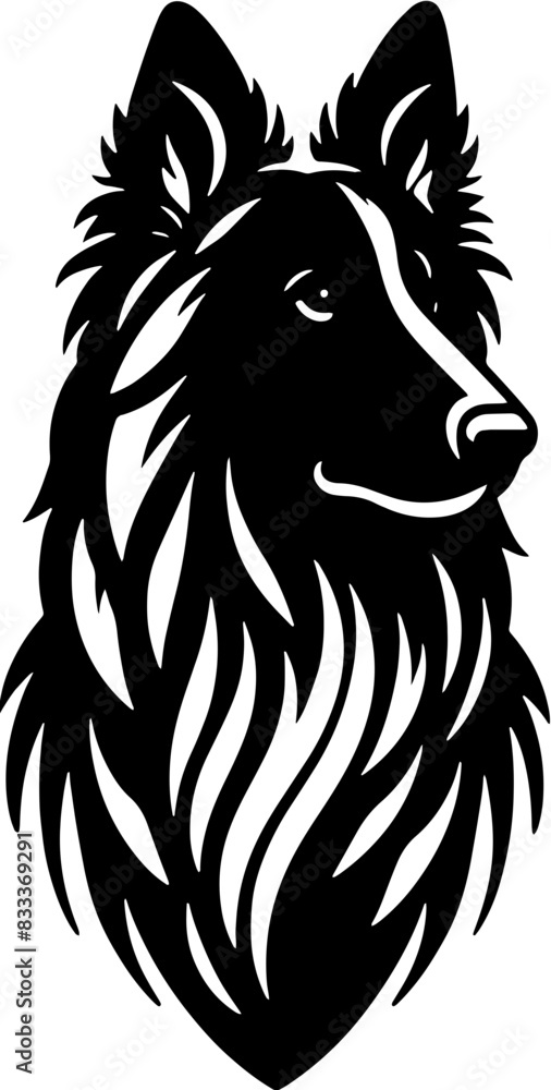 Fototapeta premium Belgian Shepherd3