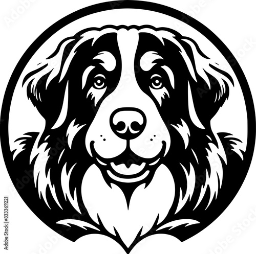 Bernese Mountain Dog1