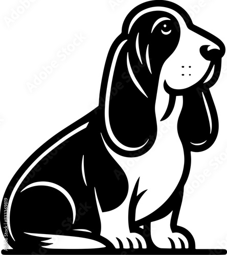 Basset Hound12