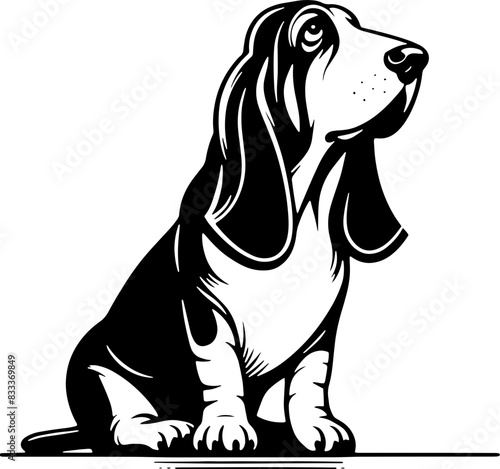 Basset Hound11