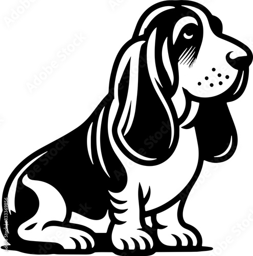 Basset Hound7