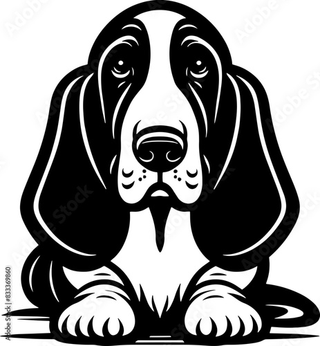 Basset Hound9