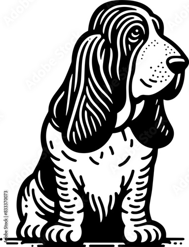 Basset Fauve De Bretagne9