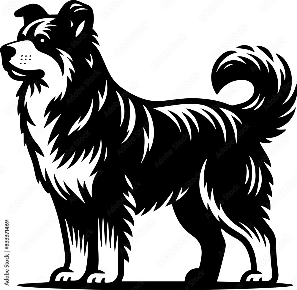 Obraz premium Aspin Dog2