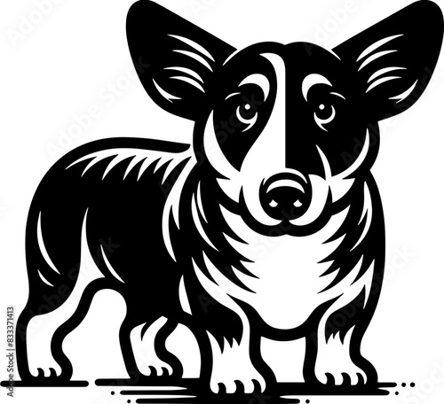 Aspin Dog7