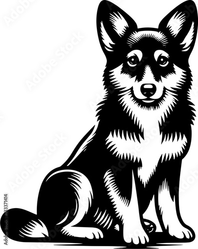 Aspin Dog6