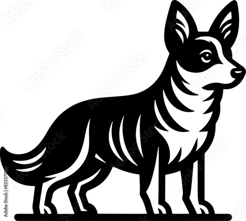 Aspin Dog4