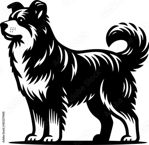 Aspin Dog2