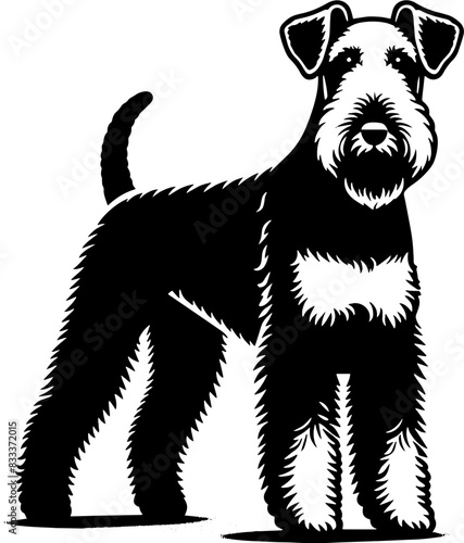 Airedale Terrier12