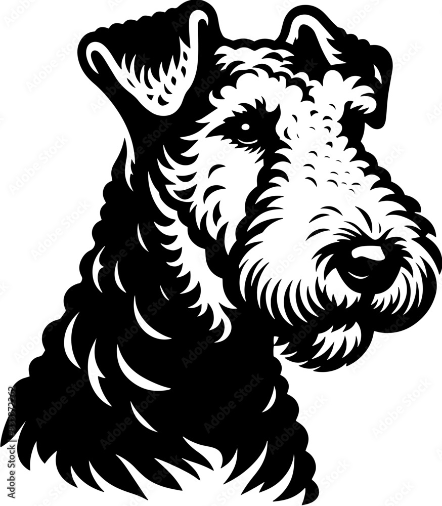 Obraz premium Airedale Terrier4