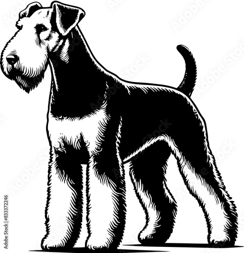 Airedale Terrier5