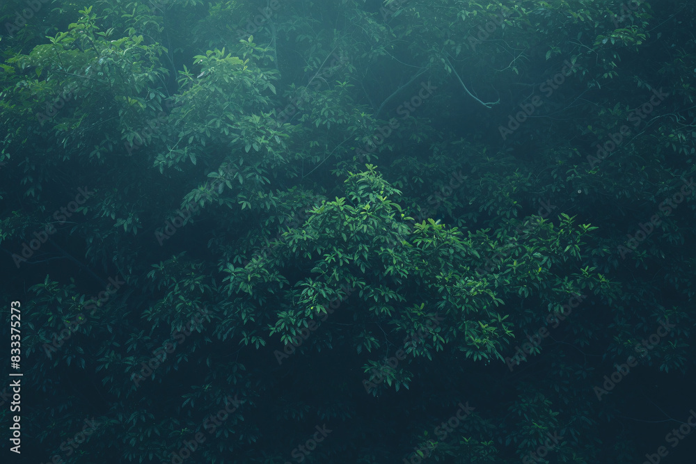 Naklejka premium image of a misty forest with thick, lush greenery creating a tranquil scene