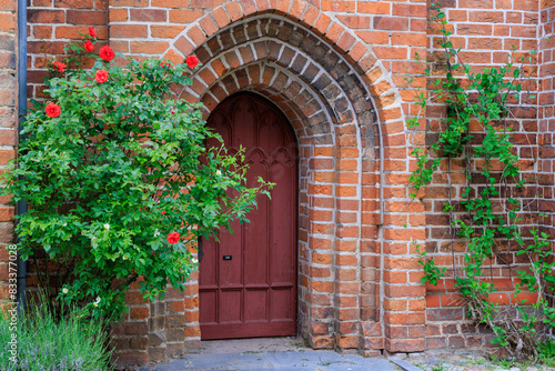 old church brick wall with door and rose bush, entrance to the St. Nicolai chruch in Roebel, Germany