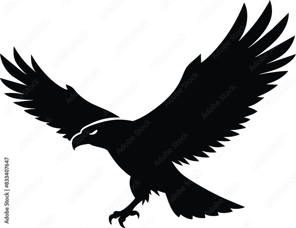 Obraz premium Eagle silhouette, flying bird silhouette