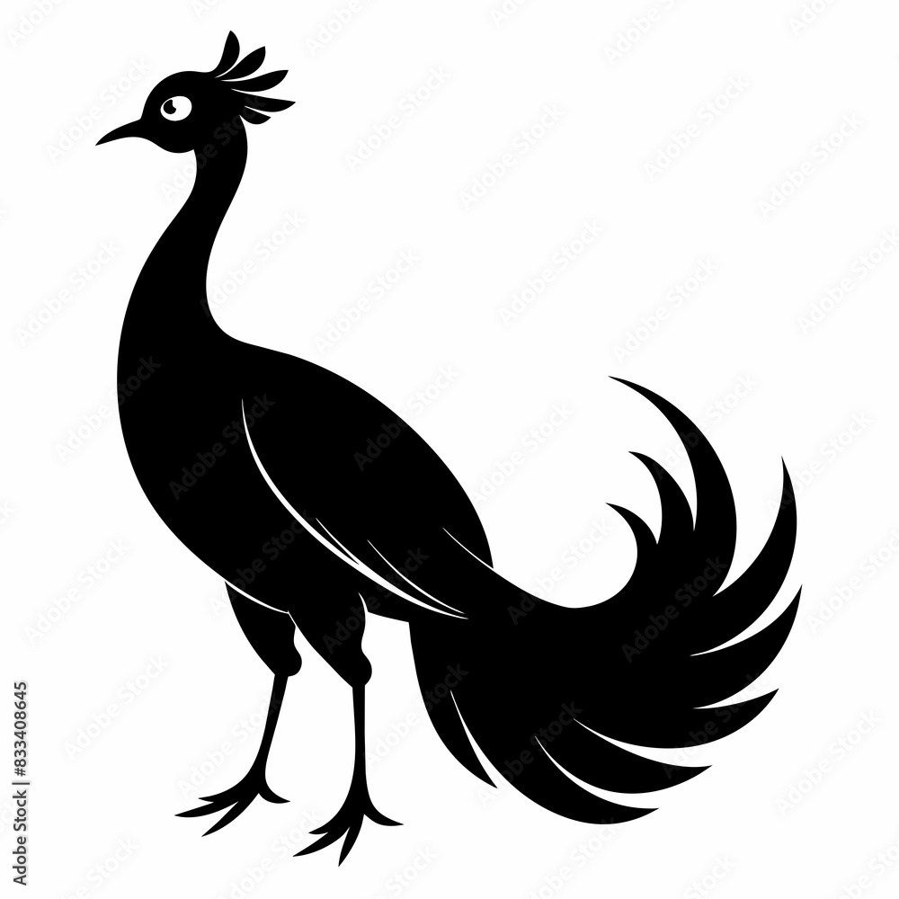 Fototapeta premium Peacock silhouette on white background
