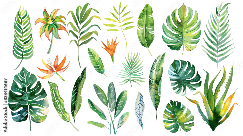 Naklejka premium The image shows a variety of leaves of different plants.