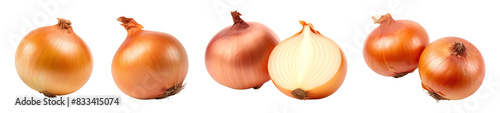 Obraz na płótnie Onion png element set on transparent background