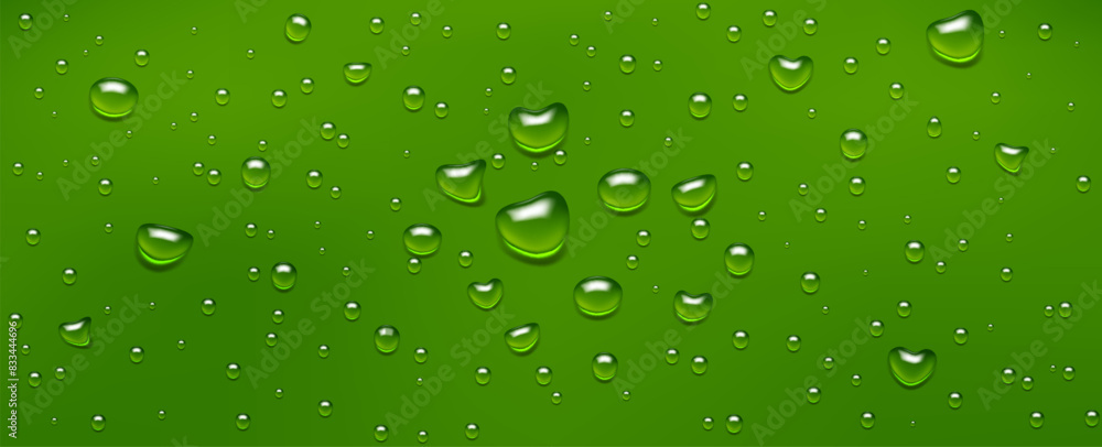 Water drops, realistic droplets of liquid on a green background.