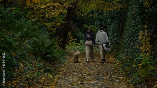 Young couple walking in the forest with their dog