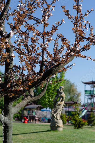 Ukraine, Sakura Island landscape park. Beuatiful  landscape, sakura tree and statue in sunny day. Landscaping, Japanese style © Олена Люлько