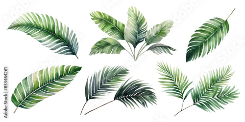 Watercolor tropical leaves set
