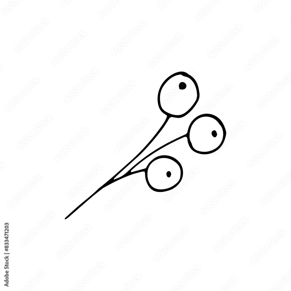 Hand-drawn simple floral branch. Twig with berries. Doodle element, isolated on white background Hand-drawn simple floral branch. Twig with berries. Doodle element, isolated on white background