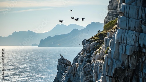 Cormorants flying in formation over rocky cliffs overlooking the ocean and mountains. photo
