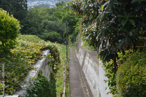 山の中の細い道3