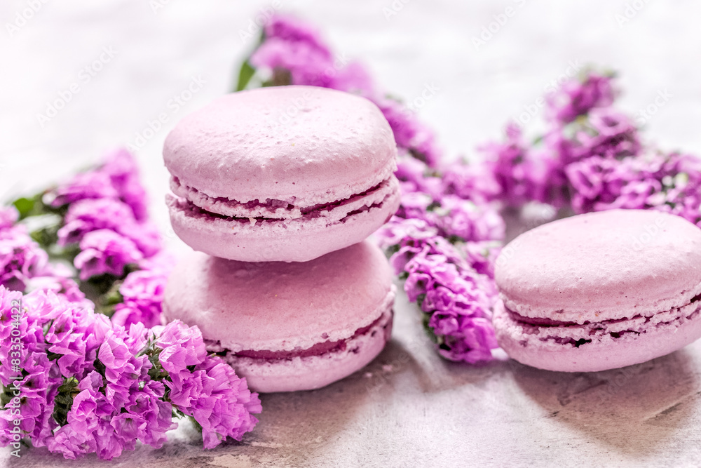 spring design in pastel color with macaroons and purple flowers spring design in pastel color with macaroons and purple flowers