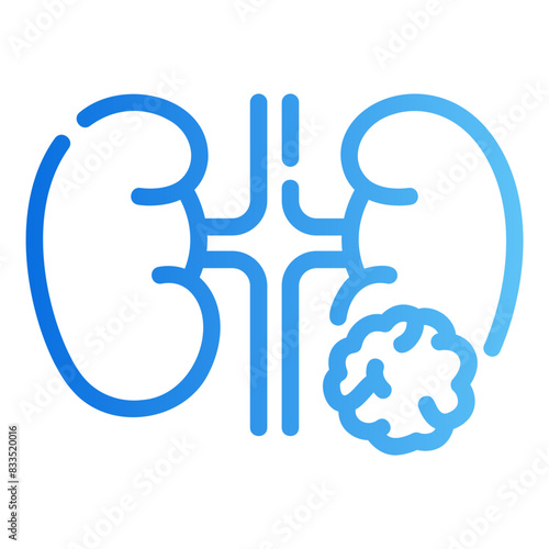 kidneys gradient icon