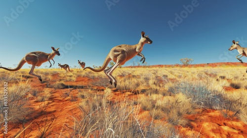 Wild Kangaroos Leaping Across Outback Terrain - Panoramic.