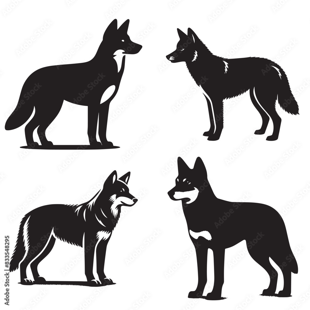 4 sets of Dingo silhouette vector art wild animal. isolated on white background 4 sets of Dingo silhouette vector art wild animal. isolated on white background