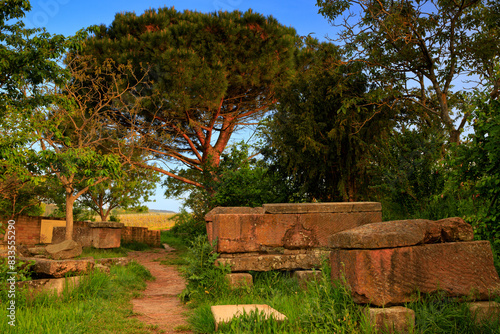 Fotografía Roman ruins