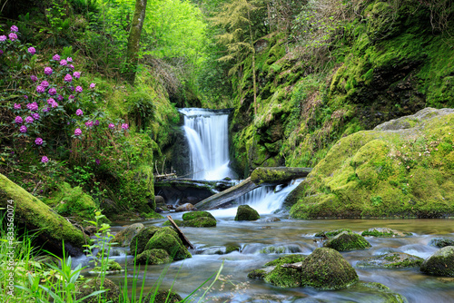 waterfall in the forest