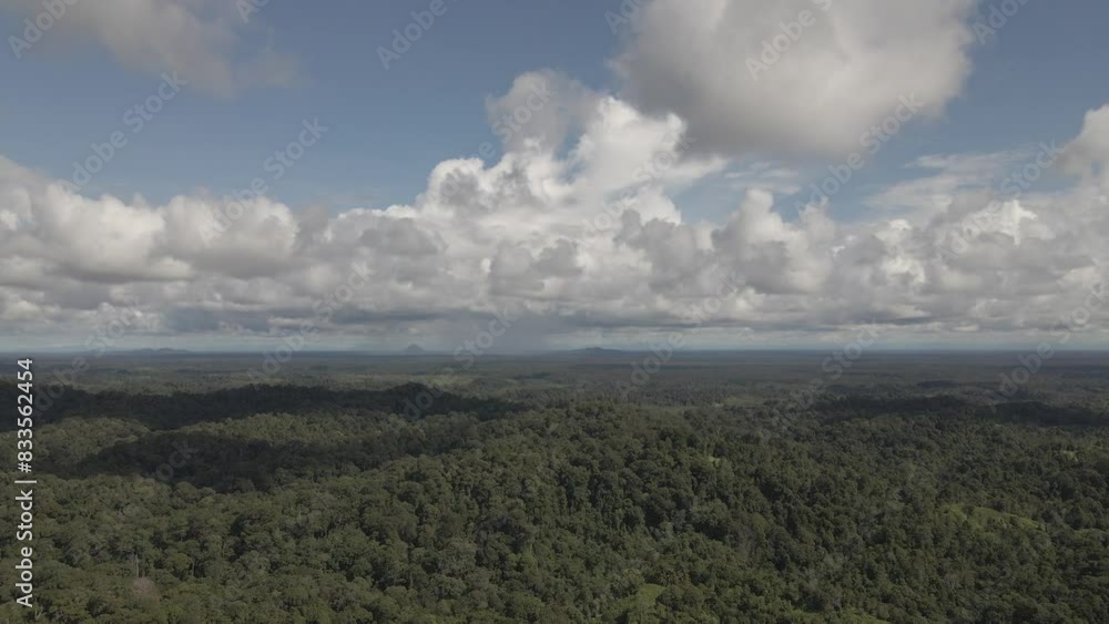 The aerial view of Dayak Village Sungai Utik in Kapuas Hulu Regency, West Borneo.
The aerial view of Dayak Village Sungai Utik in Kapuas Hulu Regency, West Borneo.