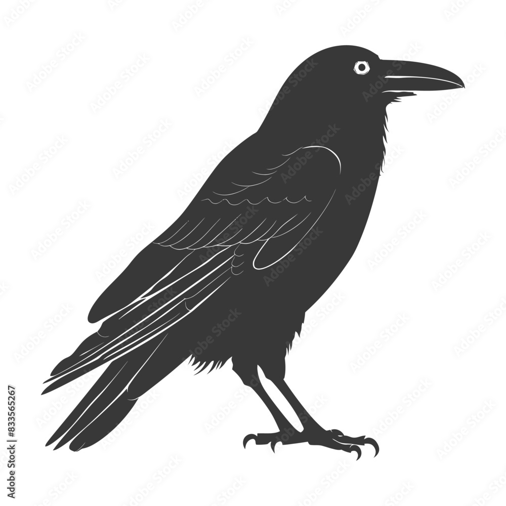Obraz premium silhouette raven animal full body black color only