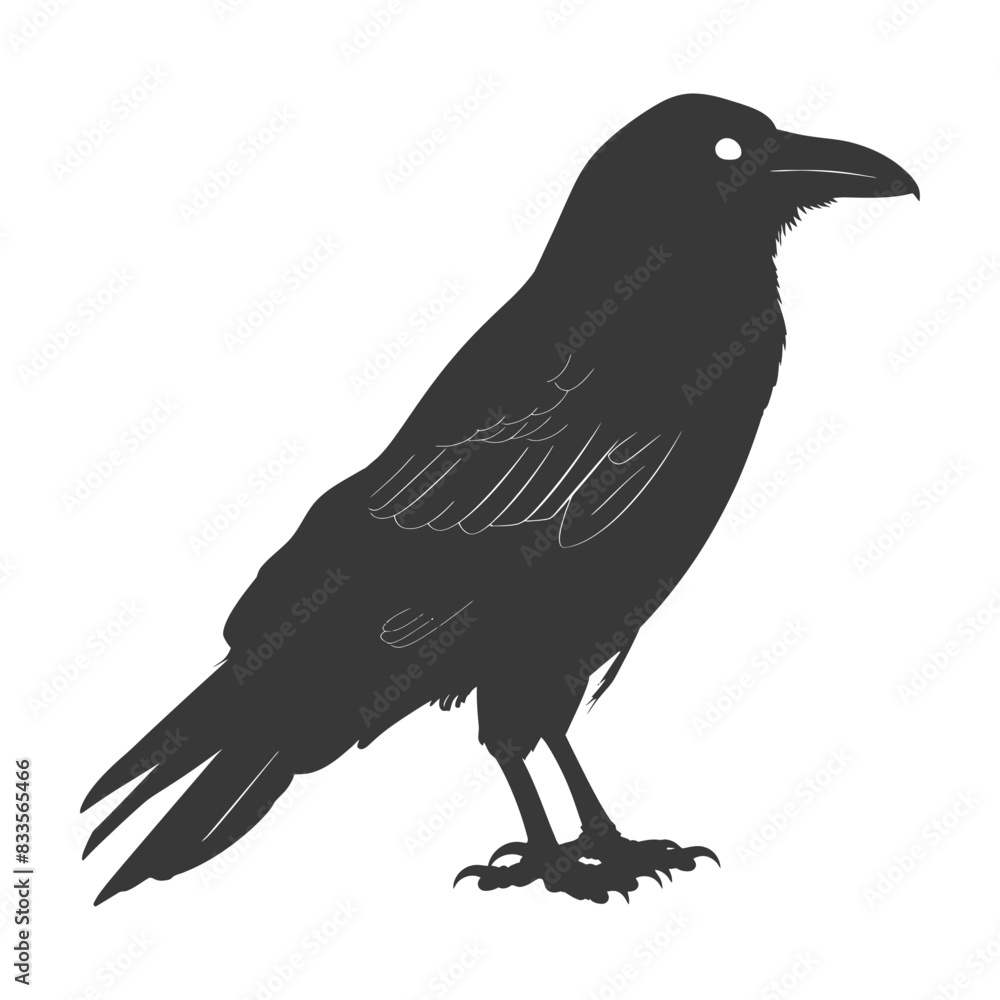 Obraz premium silhouette raven animal full body black color only