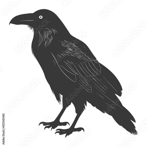 silhouette raven animal full body black color only