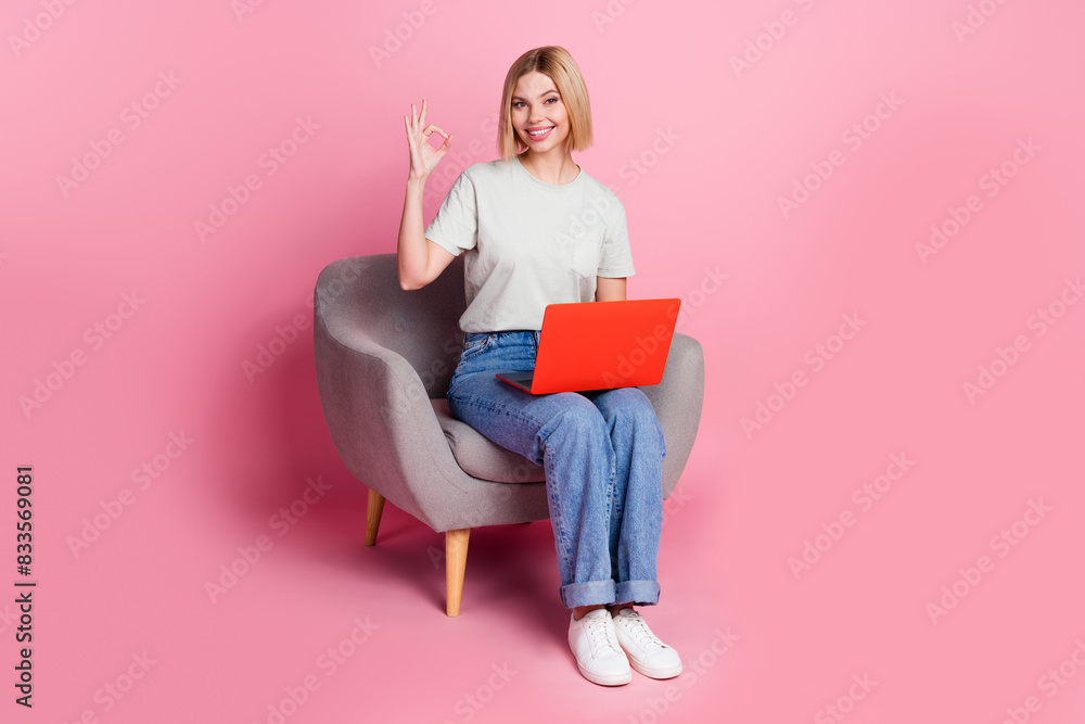 Photo of lovely satisfied girl wear stylish grey clothes sit comfy chair use netbook okey sign isolated on pink color background Photo of lovely satisfied girl wear stylish grey clothes sit comfy chair use netbook okey sign isolated on pink color background