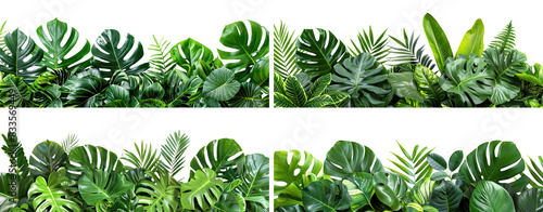 Set of lush green tropical plants bushes (monstera, palm, rubber plant, pine and fern), cut out