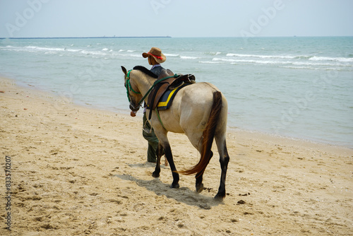 activity horse on the beach