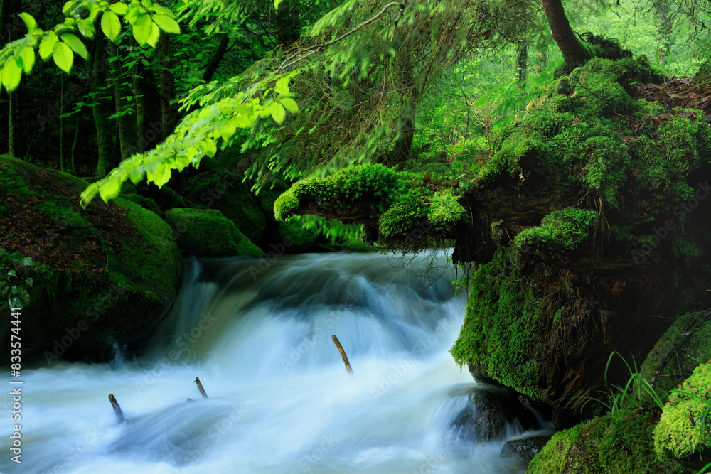 waterfall in the forest