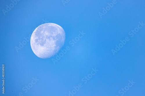 A half moon shines in the serene azure sky  casting a gentle light. This celestial event creates a magical atmosphere  perfect for a midnight stroll and quiet contemplation