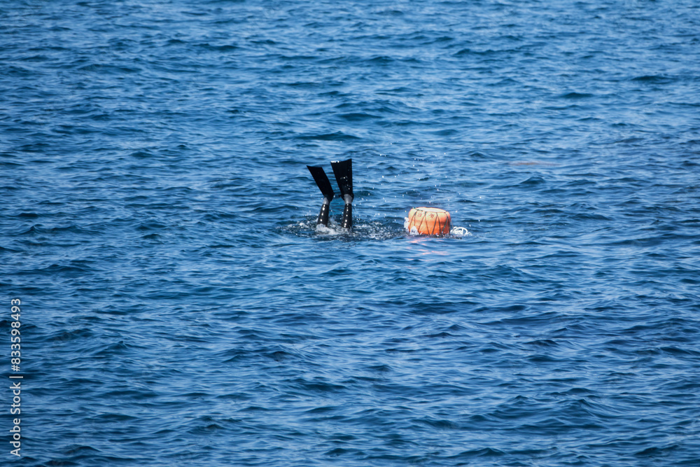 View of the working hanyeo, a female diver collecting seafood
