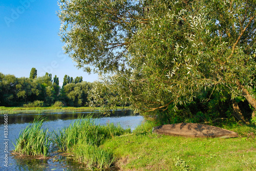 River in the forest, lake in the woods, river and clouds