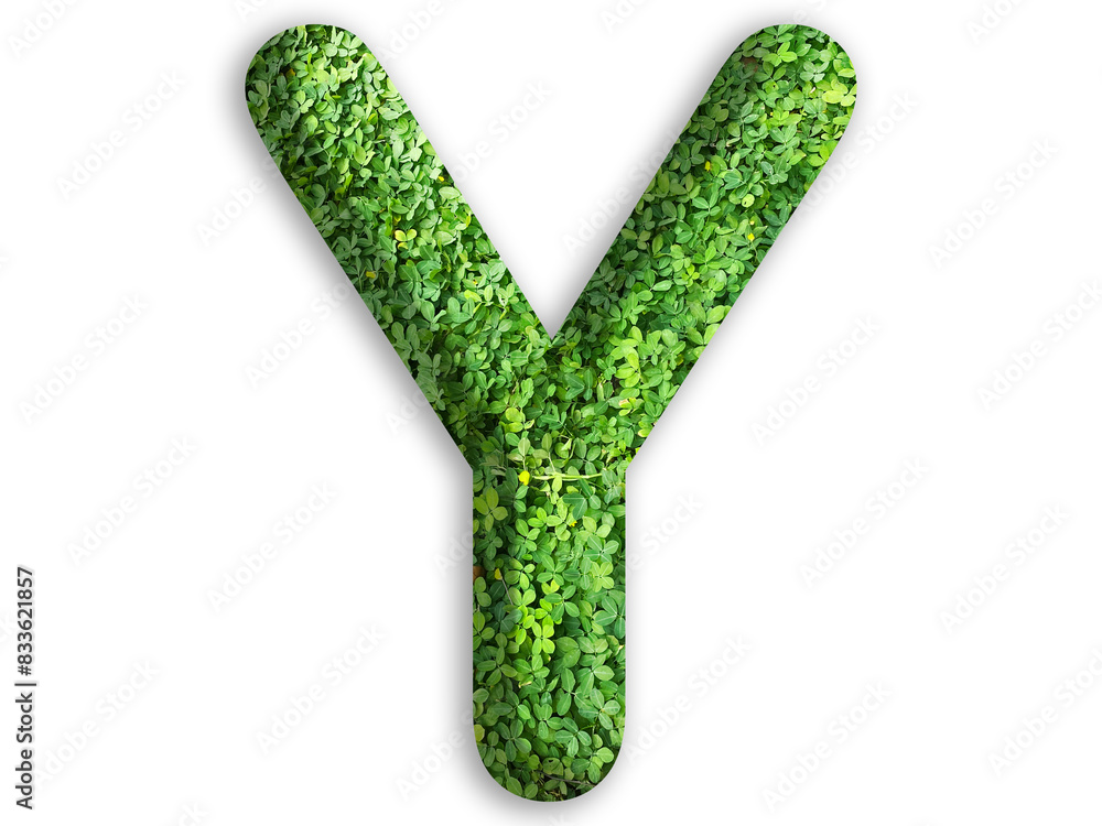 3d of alphabet Y, design made from green grass on white background 3d of alphabet Y, design made from green grass on white background