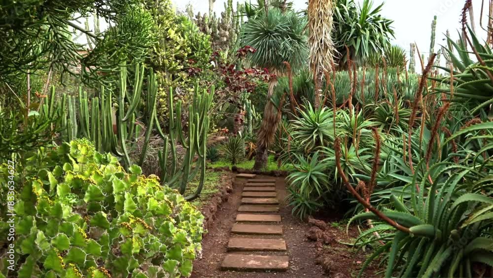 A Walk Through the Garden Discovering Nature's Beauty and Peace