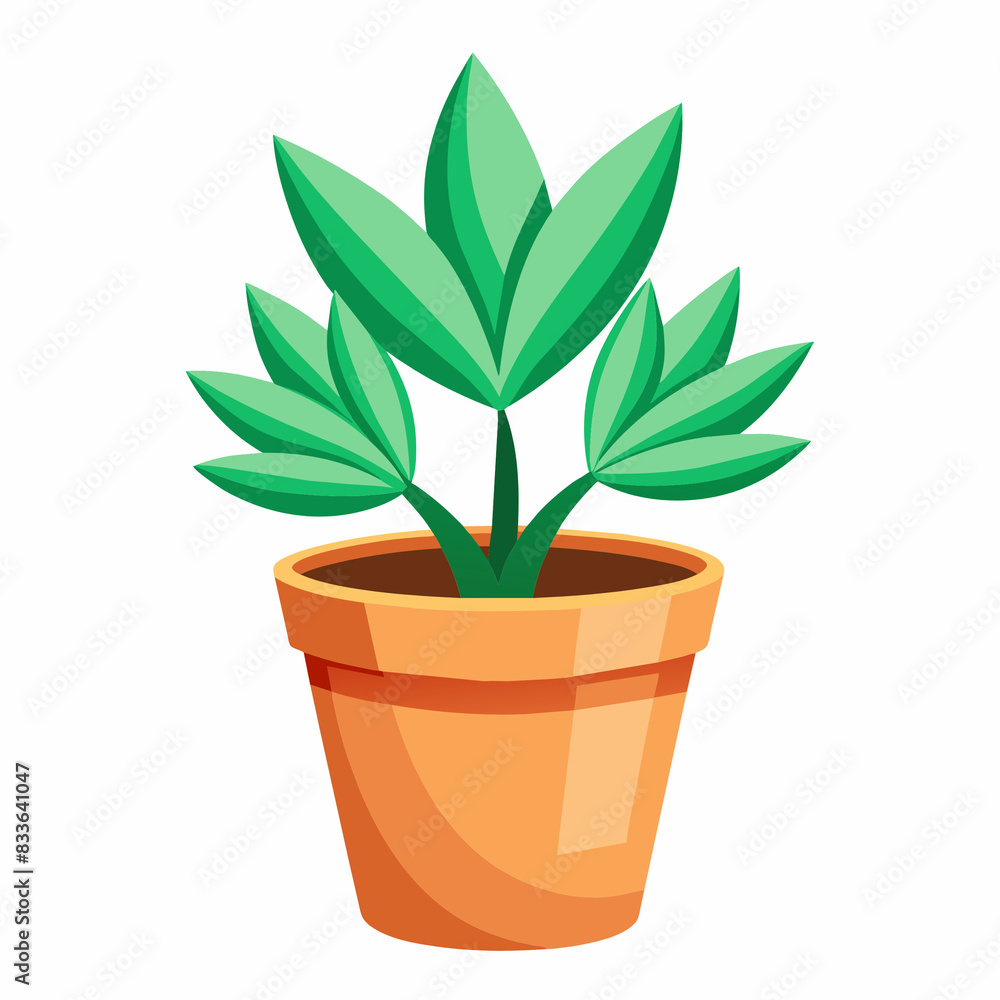 Seedlings in pots on a white background Seedlings in pots on a white background