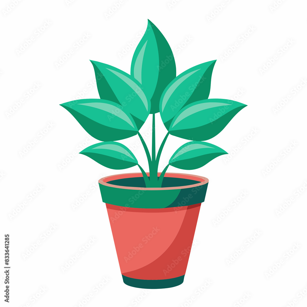 Seedlings in pots on a white background Seedlings in pots on a white background